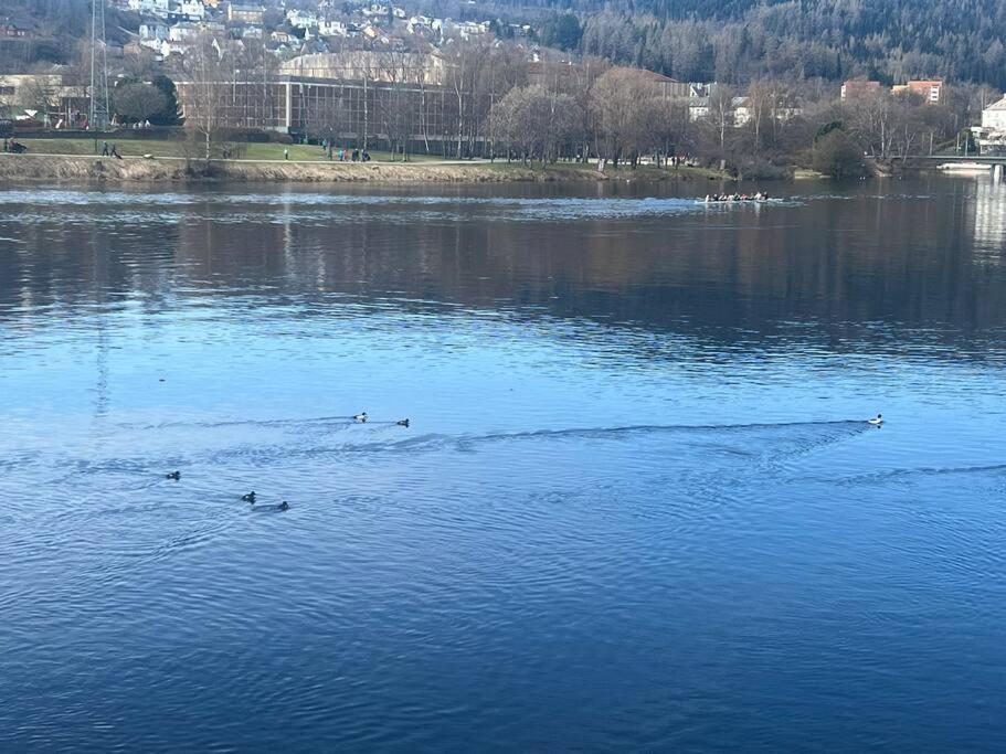 Unik Plass Ved Nidelva Trondheim Exteriér fotografie